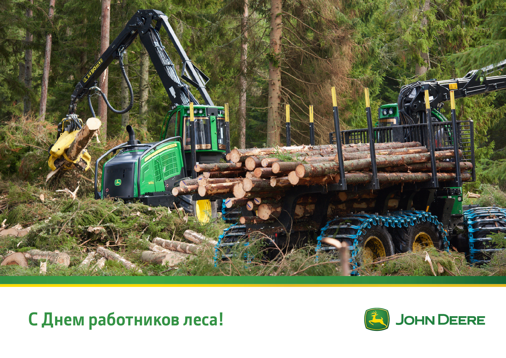 С Днем работника леса! в Омске