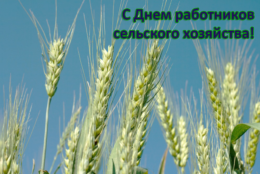 Специальные условия для сельхозпредприятий! в Омске